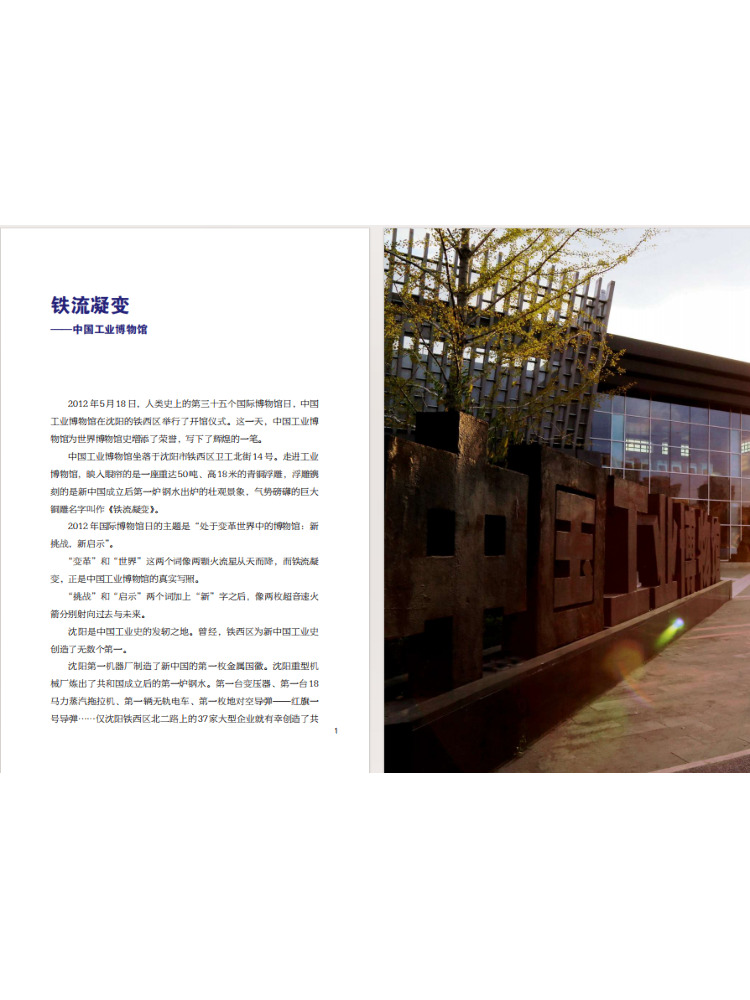 Libro de la serie cultural y t - Industrial Laser reseña y precio